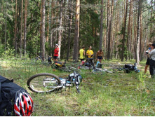 �����������