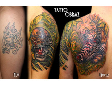 ���������� ������ ����������.�������