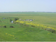 ������� �����-2