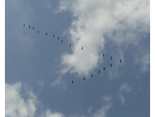 ����� ��....jpg