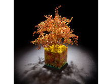 ������� ����� - �������!