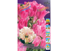 ������� �������� ����� ����