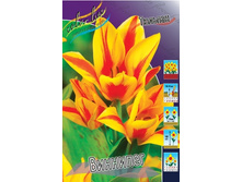 ������� �������������� ��������