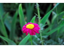 �������-2