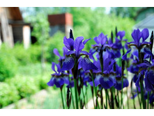 �������-3