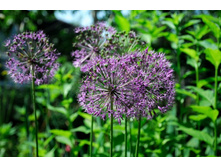 �������-4