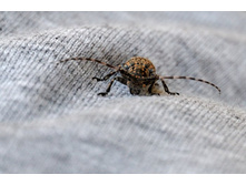 ������ �� ����� :)