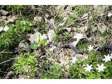 ������� :)