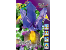 ���� ������ �����