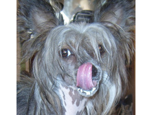 S1036651.JPG