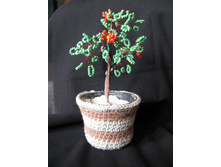 ������ �������