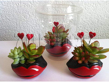 Succulenten_blister_Valentijn_arrangement_10.jpg