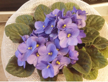 ������������