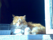 ����� ����� �� ������...