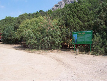 ��� ��� (�������������-��������������� ��������)