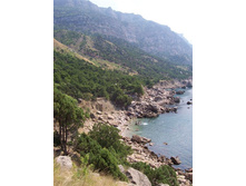 �� ����������.