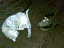 ������ � ��������� ����