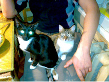 ���� � �����