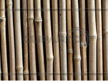 ����� ���������� 1,5 � (�����������)