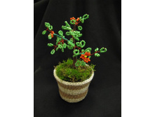 �������