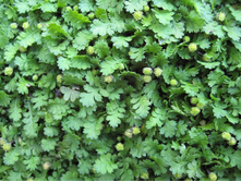 ���� ��������.�� ���� �����������  ��� �����ԣ�.