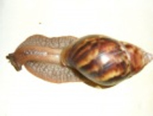 m_2af56e16.jpg