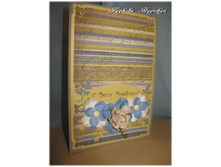 ��� ����