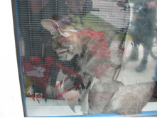 �������� � ���� ����� � ������