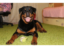 ��� ����� �����- 7 ���.