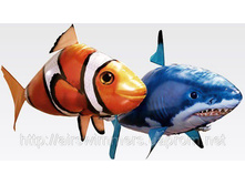 prodam-letayushchaya-ryba-akula-Air-Swimmers-na-radioupravlenii--6751-1318544556926629-3-big.jpg