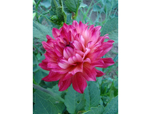 �������� ��������� ��������� �� !!! -69