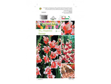 ��������� ����� -99