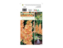 ��������� ������� ������� ��������� -95