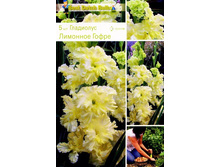 ��������� �������� ����� -67