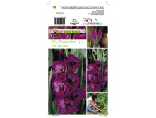 ��������� �� �� �� -107