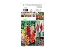 ��������� ����� -64