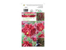 ��������� �������� ���� ����-71