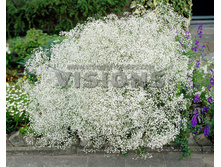 ��������� ���������� -89