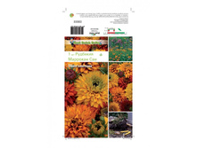 �������� �������� ��� -96