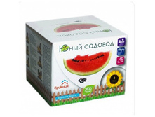 ������� ����� 199 ���.jpg