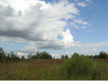 22.06.2009 13:14:39