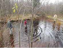 � ����� �� ���� ����.jpg