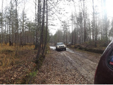 ������ �����.jpg