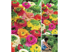 ���������� �������� -182