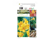 ����� ������ ����� -71