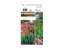 ���������� ��������� ���������-97