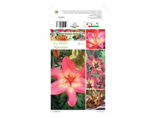 ����� �������-99