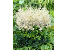 �������� ���� -72