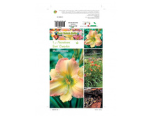 �������� ��� ����� (����.) -182