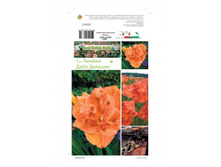 �������� �������� -182